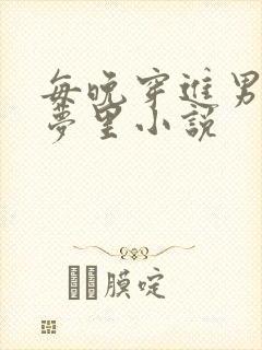 每晚穿进男神的梦里小说