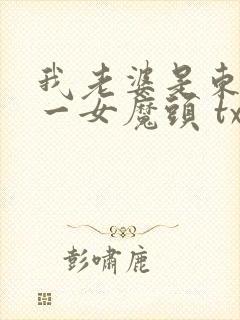 我老婆是东晋第一女魔头 txt