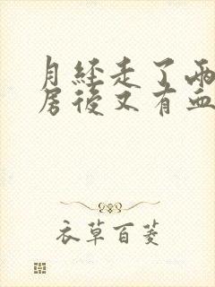 月经走了两天同房后又有血