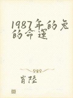 1987年的兔的命运封面