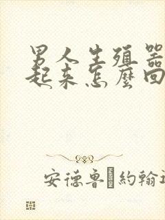 男人生殖器勃不起来怎么回事封面