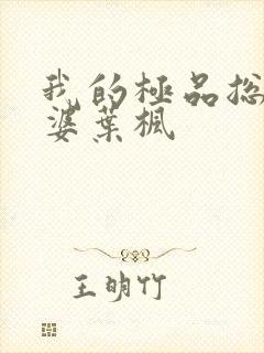 我的极品总裁老婆叶枫