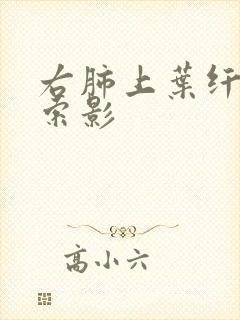 右肺上叶纤维条索影