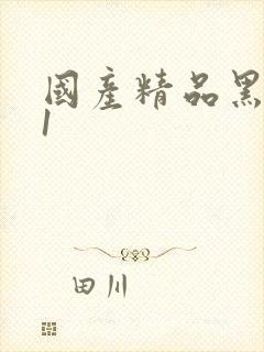 国产精品黑丝91