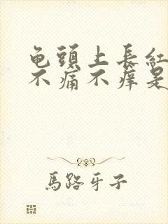 龟头上长红疙瘩不痛不痒是怎么回事