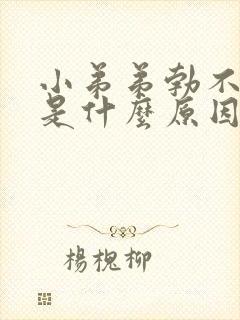 小弟弟勃不起来是什么原因