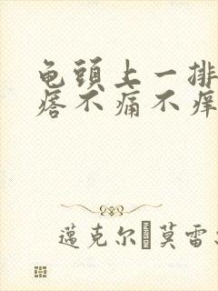 龟头上一排红疙瘩不痛不痒