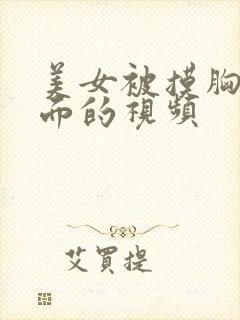 美女被摸胸摸下面的视频