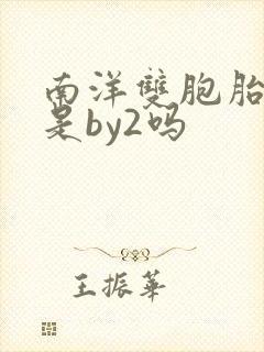 南洋双胞胎姐妹是by2吗