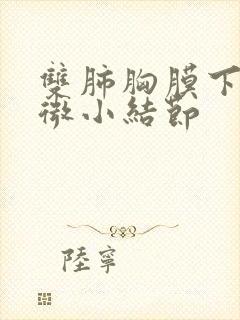 双肺胸膜下多发微小结节封面