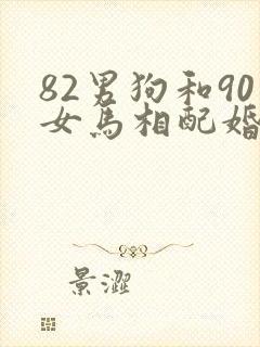 82男狗和90女马相配婚姻如何