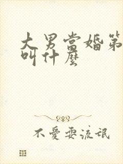 大男当婚第二部叫什么封面