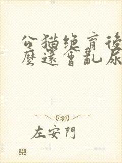 公猫绝育后为什么还会乱尿