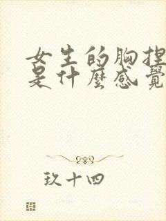 女生的胸捏起来是什么感觉封面