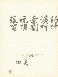 张晚意演的医生电视剧叫什么