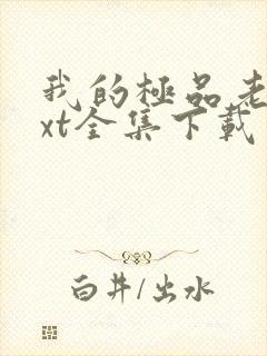 我的极品老婆txt全集下载