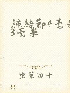 肺结节4毫米和3毫米