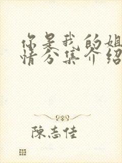 你是我的姐妹剧情分集介绍