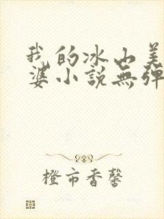 我的冰山美女老婆小说无弹窗