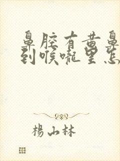 鼻腔有黄鼻涕流到喉咙里怎么办封面