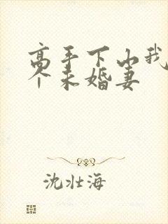 高手下山我有九个未婚妻