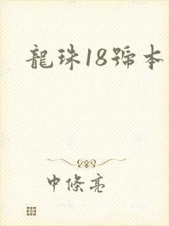 龙珠18号本子