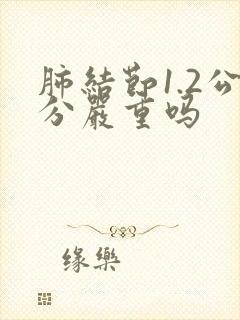 肺结节1.2公分严重吗