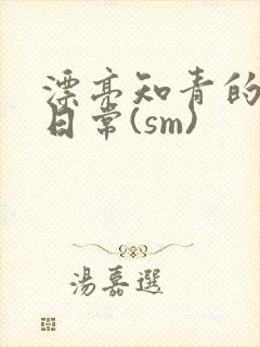 漂亮知青的婚后日常(sm)