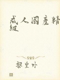 成人国产精品三级