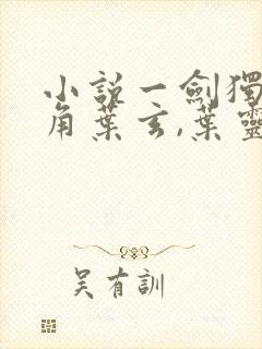 小说一剑独尊主角叶玄,叶灵封面