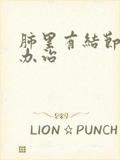 肺里有结节怎么办治封面