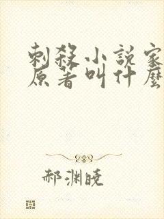 刺杀小说家小说原著叫什么