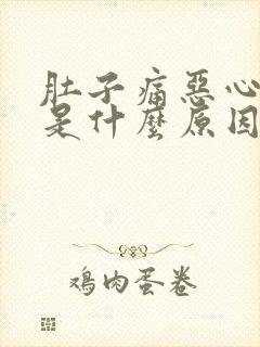 肚子痛恶心想吐是什么原因引起的