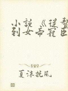 小说 《从赘婿到女帝宠臣》