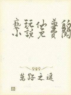 亵玩仙尊的道侣小说免费阅读