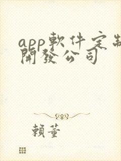 app软件定制开发公司