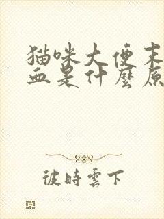 猫咪大便末端带血是什么原因