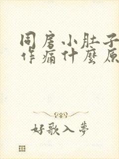 同房小肚子隐隐作痛什么原因封面