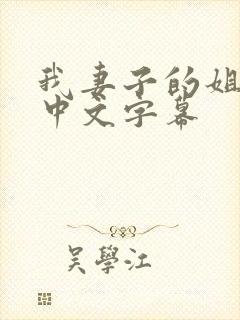 我妻子的姐姐3中文字幕