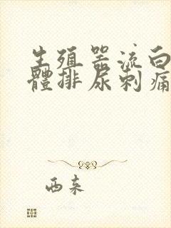 生殖器流白色液体排尿刺痛