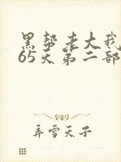 黑帮老大我的365天第二部