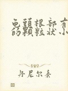 龟头根部有白色的颗粒状小疙瘩是什么原因封面