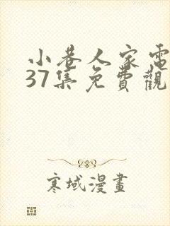 小巷人家电视剧37集免费观看封面