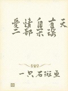 爱情自有天意第二部宋瑶