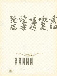 发烧咳嗽黄痰是病毒还是细菌感染