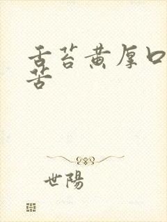 舌苔黄厚口干口苦