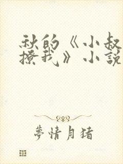 秋的《小叔,别撩我》小说