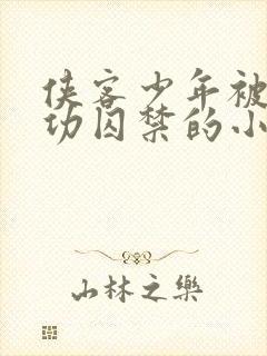 侠客少年被废武功囚禁的小说