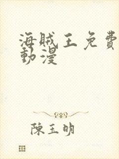 海贼王免费风之动漫