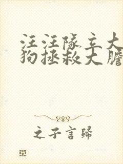 汪汪队立大功狗狗拯救大胆哥封面